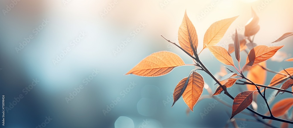 Poster vibrant autumn leaves cascade against softly blurred background in a serene fall setting