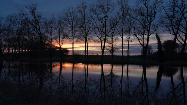 Reflections of trees in water at sunset. The picture is taken at a canal called  'Damsche Vaart' in Sluis, the Netherlands