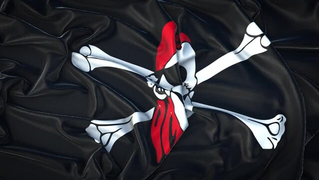 Pirate Flag Flag Zoom in Very Realistic