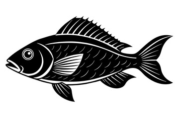 Fish vector illustration