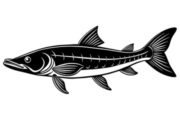 Illustration of a Fish