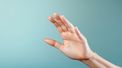 Italian Hand Gesture: Woman's Hand Demonstrating Italian Gesture

