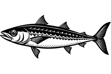 Illustration of a Fish