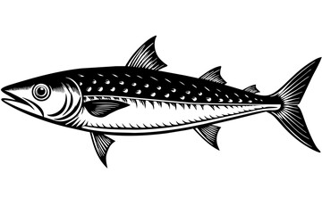 Illustration of a Fish