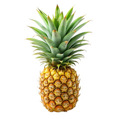Fresh pineapple with leaves isolated on Transparent background.