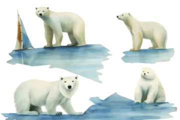 Foto op Canvas polar Arctic bears set floe © akk png
