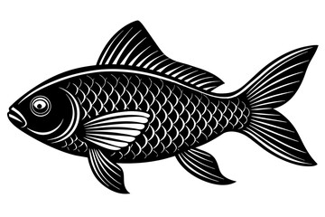 Fish vector illustration