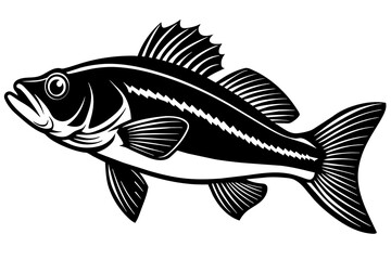 Fish vector illustration