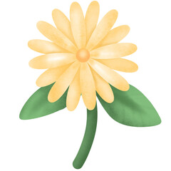 Yellow daisy flower clipart