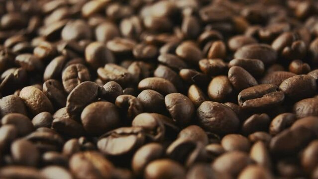 Roasted coffee beans rotate. Side view.