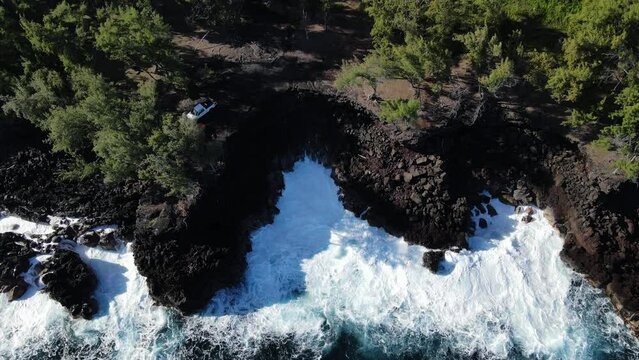 aerial view of MacKenzie State Recreation Area in big island, hawaii 