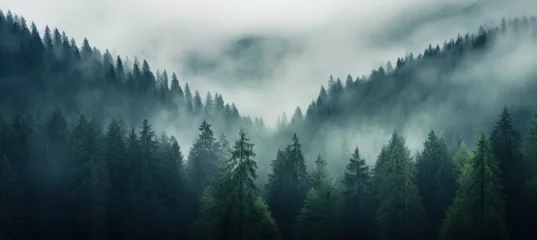 Foto auf Leinwand Enchanting Misty Forest, Dark Green Serenity © M.Gierczyk
