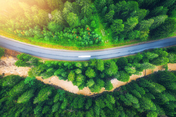 Aerial view of road in beautiful green forest at sunset in summer. Colorful landscape with roadway, river, pine trees in Carpatian mountains. Top drone view of road in the woods. Travel in Ukraine - obrazy, fototapety, plakaty