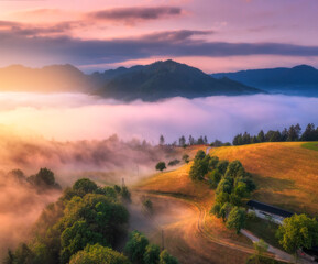 Aerial view of alpine meadows and mountains in low clouds at colorful sunrise in summer. Top drone view of hills with green grass and trees in fog, sky. Alps in Slovenia at dawn. Nature background - 758213463