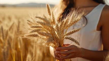 A woman holding a bunch of wheat in a field. Suitable for agricultural concepts