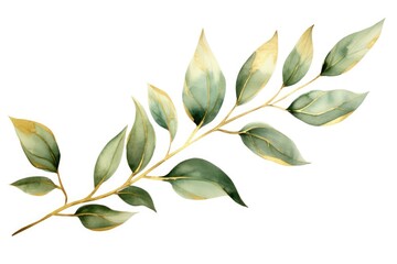 Detailed watercolor painting of a branch with green leaves. Suitable for botanical designs