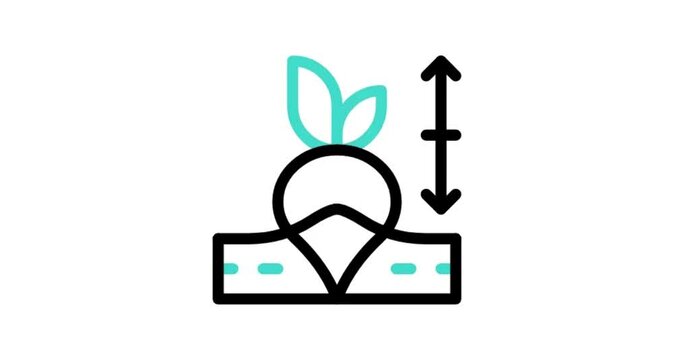 easter bunny silhouette icon animation video