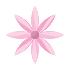 Colored flower icon Spring season Vector