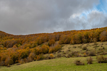 Molise, Mainarde. Autumn landscape. Foliage