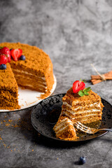 Honey cake. Homemade baking concept. Slit and slice of cake. Homemade layered honey cake