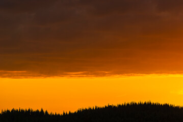 Sunset Over a Swedish Forest With Vivid Orange Sky and Silhouetted Trees