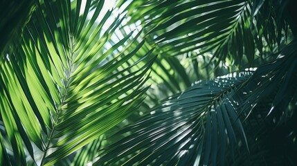 Close up of a palm leaf in a forest, suitable for nature backgrounds