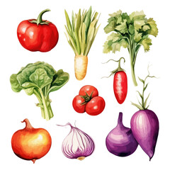 Watercolor Painting Illustration of pepper, onion, tomato, spinach, White radish, White carrot, parsley, bell pepper, isolated on white background, Illustration, Graphic Painting.
