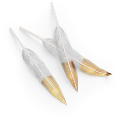 Top up view realistic feathers isolated on plain background , useful for element designs.