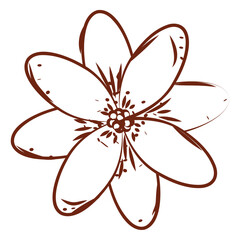 Flower sketch icon Sprimg season Vector