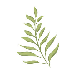 Tree leaf colored icon Vector