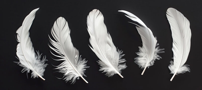 White feathers flying on a black background
