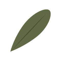Tree leaf colored icon Vector