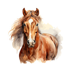Watercolor drawing Vector of a brown horse, isolated on white background, Painting Illustration & clipart.