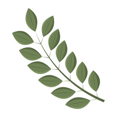 Tree leaf colored icon Vector