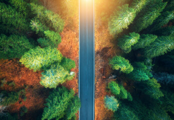 Aerial view of empty road in colorful forest at sunrise in spring. Dolomites, Italy. View from above of mountain road in woods. Beautiful landscape with highway, green pine trees in summer. Top view - 758231418