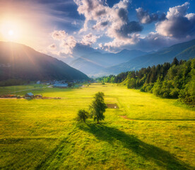Aerial view of trees in green alpine meadows in mountain valley at sunset in summer. Slovenia. Top drone view of fields, green grass, forest, mountains, sky with clouds and golden sunlight. Nature - 758231648