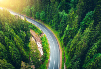 Aerial view of road in beautiful green forest at sunset in summer. Colorful landscape with roadway, river, pine trees in Carpatian mountains. Top drone view of road in the woods. Travel in Ukraine - obrazy, fototapety, plakaty