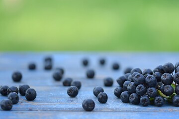 Chokeberries, aronia fruits on bokeh blue wooden background with space for text, bokeh empty space,...