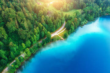 Aerial view of road near blue lake, green forest at sunrise in summer. Bled lake, Slovenia. Travel. Top view of beautiful road, trees in spring. Landscape with highway and sea bay. Road trip. Nature - 758232082