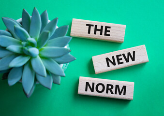 The new norm symbol. Concept words The new norm on wooden blocks. Beautiful green background with succulent plant. Business and The new norm concept. Copy space.