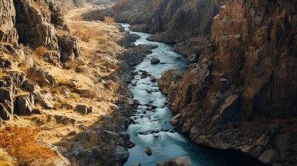 Winding river with rocky canyon and sunlight