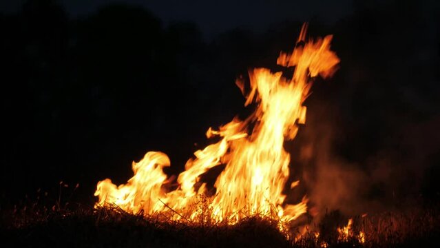 A large bonfire burns at night in the background forest.ÃÂÃÂ 