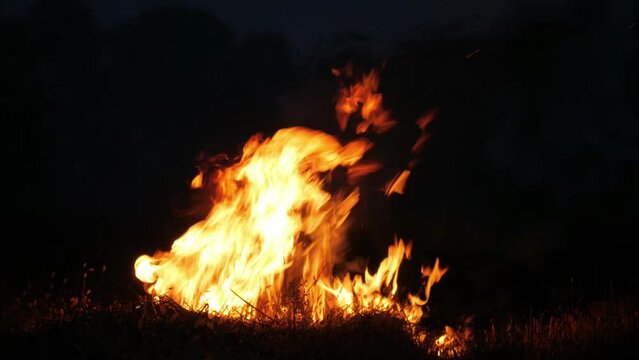 Yellow fire with black background. High flame. Concept of burn, blaze, heat, hot. 