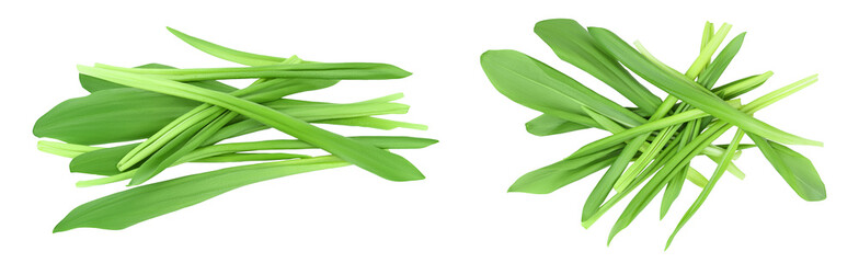 Ramson leaves isolated on white background with full depth of field, Top view. Flat lay
