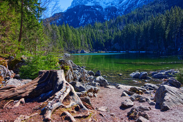 Landscape of a pond and forest underneath the Alps