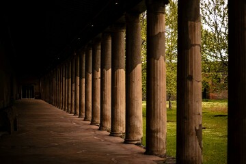 columns of bamboo