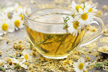 Chamomile herbal tea in a glass cup with flowers on white textile background, closeup, winter cold healing drink, natural medicine and naturopathy concept - obrazy, fototapety, plakaty