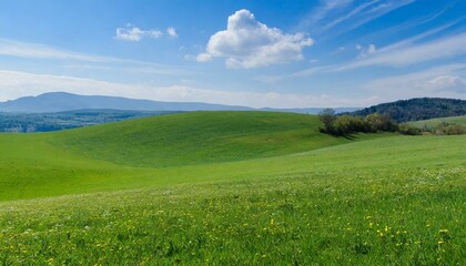Fototapeta premium landscape with green grass and sky