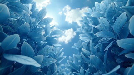  a close up of a blue plant with leaves and blue sky in the background with white clouds in the sky.