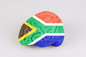 On a white background, a model of the brain with a picture of a flag - South Africa